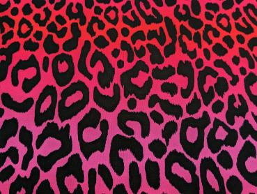 French Terry Digital Leo Regenbogenstreifen Pink